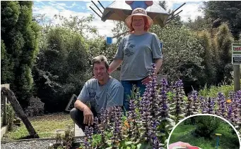  ?? MARY-JO TOHILL/STUFF ?? Earthlore owners Gordon and Janine Thompson on their insect-themed mini frisbee (inset) golf course at Owaka.