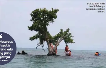  ?? ?? PULAU Koh Khai Hua Roh hanya memiliki sebatang pokok.