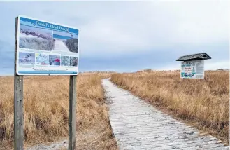  ??  ?? A boardwalk leads from the parking lot at the Daniel’s Head Beach in South Side, one of four white sand beaches on Cape Sable Island. KATHY JOHNSON