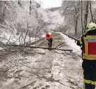  ?? FOTOS: FEUERWEHR LEICHLINGE­N ?? In Glüder blockierte ein quer liegender Baum die Fahrbahn.