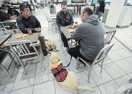  ?? SEAN KILPATRICK THE CANADIAN PRESS ?? Veteran Dwayne Sawyer and Rex, at left, sit with fellow veterans Serge Lemieux, who walks Rosie and Dan Boudreault with Bubba, at a recent Canadian Veterans Service Dog training session.