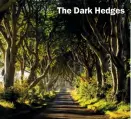  ?? ?? The Dark Hedges