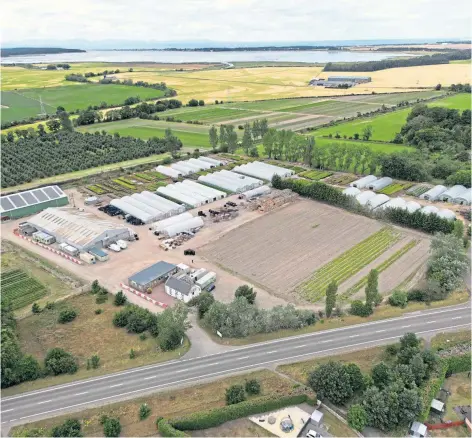  ?? ?? STUMP UP THE CASH: Christie-Elite Nurseries on the outskirts of Forres is on the market with Galbraith in Aberdeen.