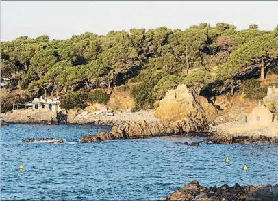  ?? PERE DURAN / NORD MEDIA ?? Las viviendas se ubicarán en un extremo de la pineda d’en Gori y a unos 200 metros del mar