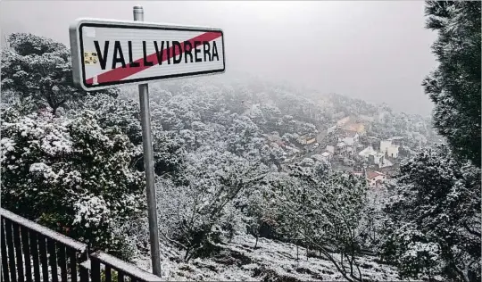  ?? MANÉ ESPINOSA ?? Una Collserola insòlita. La nevada va deixar imatges com aquesta als voltants del Tibidabo