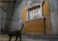  ?? ?? A cat crosses the “lararium,” a place where the shrine for the worship of the Lares, the household gods, was located, on Dec. 14 in the House of Vettii.