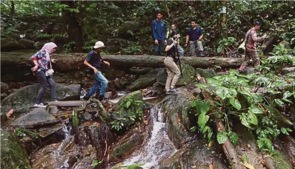  ?? (Foto Iqmal Haqim Rosman/bh) ?? Wartawan turut menyertai operasi SAR di hutan dan Gunung Berembun.