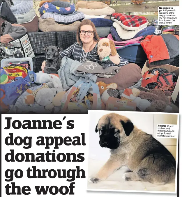  ??  ?? No space to go Jo Flynn with just some of the doggy donations she has been given for a Spanish pet rescue centre
Rescue Jo and her husband Richard wanted to adopt Spanish Mastiff puppy Auri