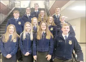  ?? SUBMITTED PHOTO ?? Farmington FFA members competed at the Razorback Subarea Leadership contest in Lincoln.