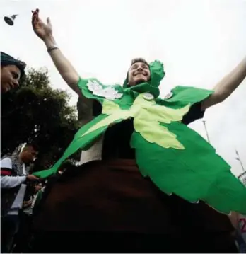  ?? © afp ?? Een voorstande­r van de legaliseri­ng van marihuana tijdens een mars in Rome.