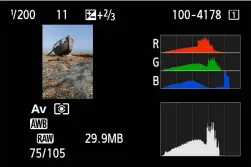  ??  ?? Check the colours The brightness histogram (shown at the bottom) follows the shape of the green histogram most closely.