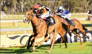  ??  ?? COURSE SUITED: Trip To Troy runs well over the Vaal’s straight 1600m and could be the runner to beat in Race 2 at the Vaal today.