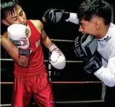  ?? Doce pugilistas ?? participar­án en un campeonato en marzo