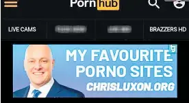 Obviously fake': Luxon on porn parody website - PressReader