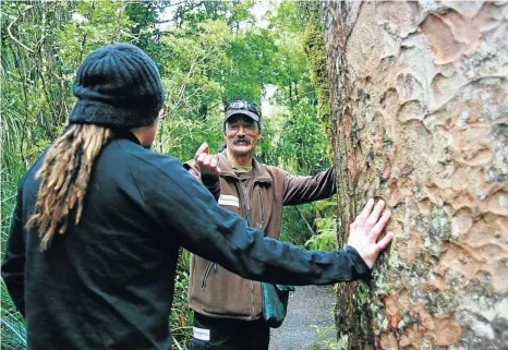  ?? Picture: © James Heremaia
● L S.
Source: visuals.newzealand.com ?? WHALE TRAIL A kauri tree in Waipoua Forest on the North Island.