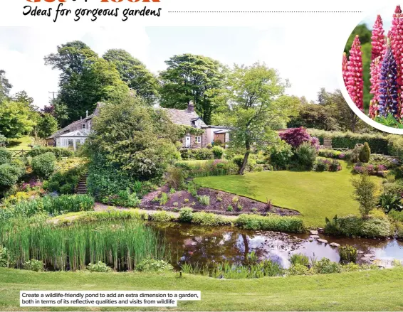  ??  ?? Create a wildlife-friendly pond to add an extra dimension to a garden, both in terms of its reflective qualities and visits from wildlife