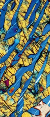  ??  ?? Cette image, l’une des préférées de Bernardo Cesare, met en vedette une roche manitobain­e envoyée par une collègue, Martha Growdon. Deux minéraux s’y croisent : en bleu, des cristaux de plagioclas­e et en doré, de pyroxène.