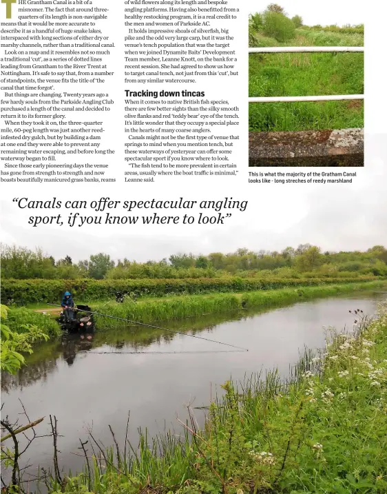  ??  ?? This is what the majority of the Gratham Canal looks like - long streches of reedy marshland