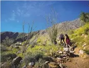  ?? NELVIN C. CEPEDA U-T ?? Hikers on the Palm Canyon trail at Anza-Borrego Desert State Park last month.