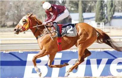  ?? Picture: JC Photograph­ics. ?? CONDITIONS SUITED. Rouge Allure is well weighted to repeat her last win when she runs in Race 3 tomorrow, a Pinnacle Stakes over 1600m on the Turffontei­n Inside track.