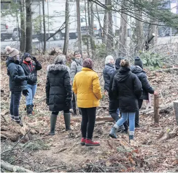  ?? PHOTO AGENCE QMI, STÉPHANE SINCLAIR ?? Une dizaine de Mohawks ont manifesté dans la pinède de Kanesatake, hier, contre la coupe illicite d’arbres qu’aurait effectuée un futur marchand de cannabis.