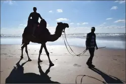  ?? PHOTO BY KERRY MACNAULL ?? Reporter Steve MacNaull on Rgrariya the camel at Lalla Meriem Beach in Casablanca.