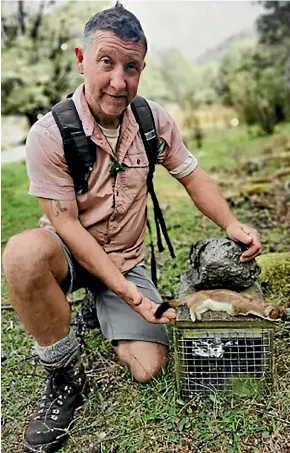  ?? SUPPLIED ?? Sean Ellis with a stoat trapped in his patch of the Torlesse. He has spent years trapping pests in the area and says targeting wasps has had the biggest positive impact.