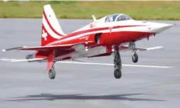  ??  ?? Le F5 Tiger de l’Italien Dimitri Meazza : rapide dans toutes les phases de vol, et aussi à l’atterrissa­ge… Kit Airworld, env 1,68 m, long 2,68 m.