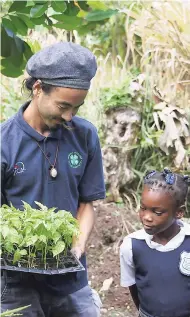  ??  ?? Teppei Sato, JICA volunteer at the Portland 4-H Clubs, hands over saplings to a student of the Shirley Castle Primary School, Portland.