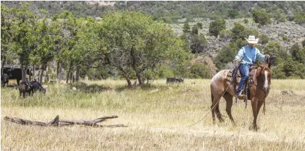  ??  ?? Turning your horse is a scarier position because he can’t see the log with both eyes. Stay at a three-quarter angle to the log so you can easily turn your horse to face up to the log.