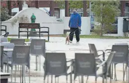  ?? EUROPA PRESS / EDUARDO SANZ ?? Una persona pasea a su perro por el centro de Pamplona, ayer.