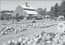  ?? Chris Erskine Los Angeles Times ?? THE BIG red barn still stands on the farm that transforms each fall.