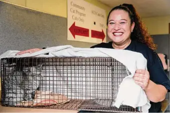  ?? Sam Owens / Staff photograph­er ?? Fumiko Fujimoto is the lead coordinato­r of the community cat program for San Antonio’s Animal Care Services, where they’re helping residents control the city’s feral cat population.