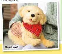  ?? ?? Robot dog!