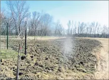  ??  ?? Les premières plantation­s d’arbres fruitiers