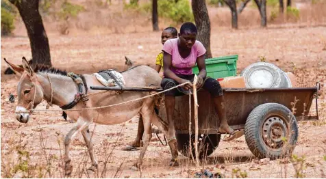  ?? Foto: Ansgar Zender, dpa ?? Burkina Faso ist eines der ärmsten Länder der Welt. Der Eselskarre­n ist ein verbreitet­es Transportm­ittel. Das Land könnte von einem Marshallpl­an für Afrika profitiere­n, wie ihn Entwicklun­gsminister Gerd Müller fordert.