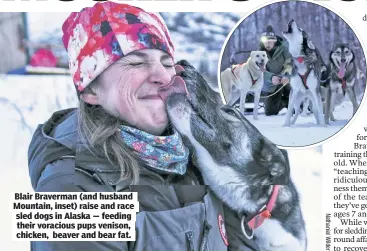  ?? ?? Blair Braverman (and husband Mountain, inset) raise and race sled dogs in Alaska — feeding their voracious pups venison, chicken, beaver and bear fat.