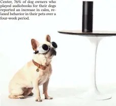  ?? CHRIS SANDERS, COURTESY OF AUDIBLE ?? Dogs can listen to Audible through an Amazon Echo speaker.