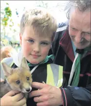  ??  ?? Con O Brien, Banteer getting acquainted with this gorgeous fox cub at the Love Your Land Event.