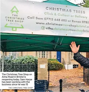  ?? THE CHRISTMAS TREE SHOP ?? The Christmas Tree Shop on Alma Road in Bristol is reopening today. Sam Harpe has been working with the business since he was 15