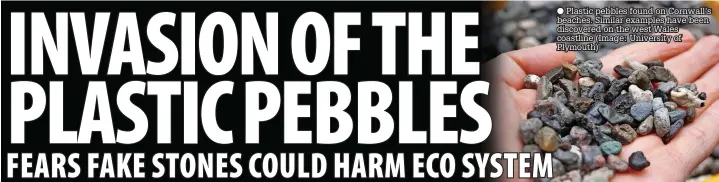  ?? ?? Plastic pebbles found on Cornwall’s beaches. Similar examples have been discovered on the west Wales coastline (Image: University of Plymouth)