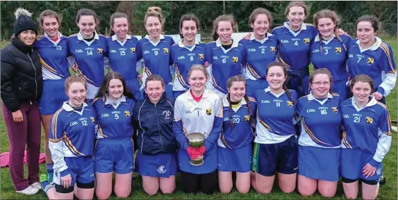  ??  ?? The Coláiste Bhríde Carnew Senior camogie team who defeated Avondale CC to reclaim the Liam Kavanagh Cup.