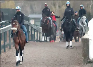  ?? (The Sentinel-Record/Richard Rasmussen) ?? Horsemen exercise thoroughbr­eds at Oaklawn Racing Casino Resort in Hot Springs on Monday. Oaklawn’s live racing season begins with a nine-race card today, headlined by the $150,000 Smarty Jones Stakes for 3-year-olds.