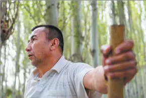  ??  ?? Imam Memet, a forest ranger with the Kekeya afforestat­ion project, scans woodland in the area.