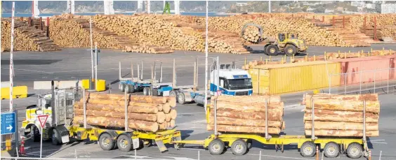  ?? Photo / File ?? Forest organisati­ons are rejecting claims that log exports are responsibl­e for a shortage of timber in New Zealand.