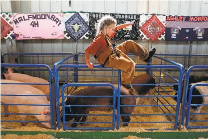  ?? Michael Macor / The Chronicle 2011 ?? Leanna Morford of the Half Moon Bay 4H Club jumps the corral after checking on her hogs before they are auctioned off at the San Mateo County Fair in the summer of 2011.