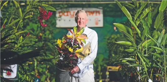  ?? SUN SETS: Harry Wilschefsk­i is closing Day Dawn Nursery after six decades, partly because of the water crisis. Picture: SCOTT RADFORD- CHISHOLM ??