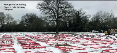  ?? PHOTO: LEE HARPIN ?? New graves at Bushey Cemetery in January this year