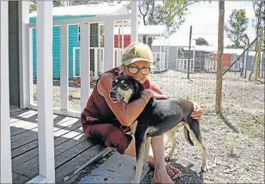  ?? Picture: ALAN EASON ?? SETTLING IN: Pet Pals founder Sue Kriel welcomes Cleo to her new quarters at the sanctuary’s new Wilsonia home yesterday. By tomorrow, the relocation of about 190 animals should be complete