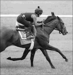  ?? DEBRA A. ROMA ?? La Coronel, the 122-pound highweight for the Grade 2 Lake Placid, works a half-mile in 48.88 on Aug. 11 at Saratoga.